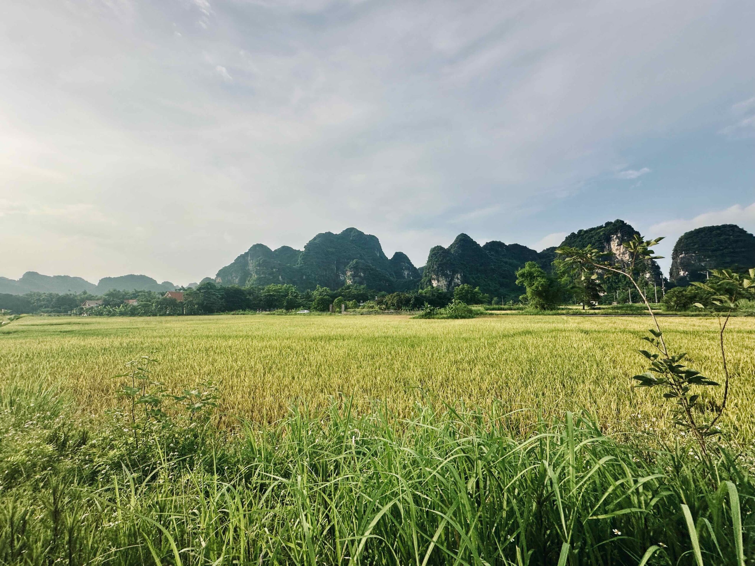 Ninh Binh en Phong Nha